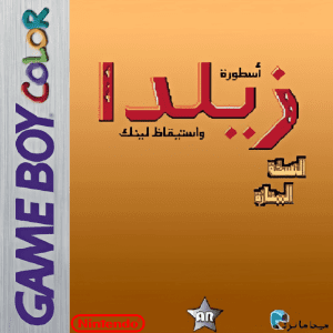 تعريب: أسطورة زيلدا واستيقاظ لينك - The Legend of Zelda Links Awakening DX 2 1936421 1106637538579 4748867 n photo x2 640x640