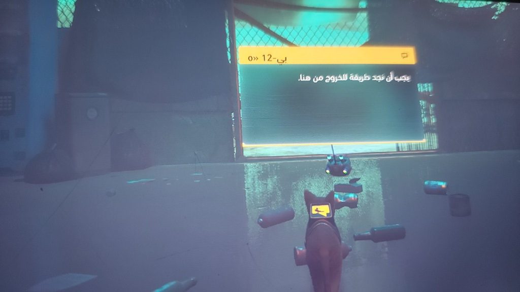 عاجل: فريق Gaming Republic يقوم بنقل تعريب Stray لنينتندو سويتش 4 20241123 215724